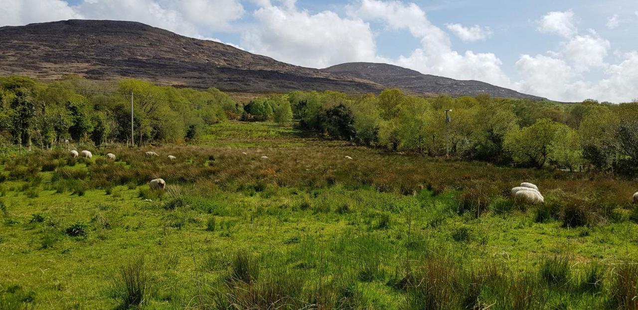 Mountain View Bed & Breakfast, Kenmare, Co. Kerry, Ireland Ngoại thất bức ảnh